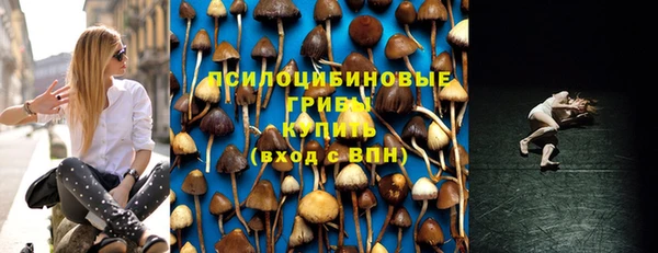 молекула духа Верея