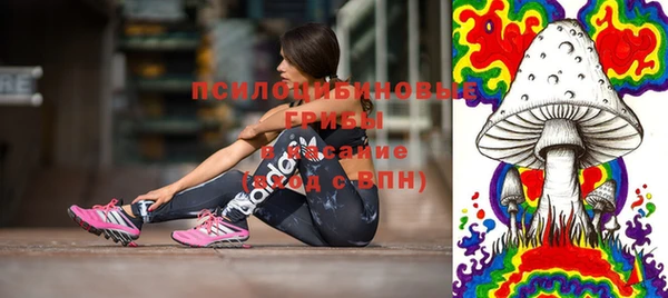 молекула духа Верея